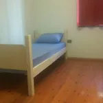 Green Hostel * Tirana
