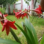 Green Hostel Hostel *