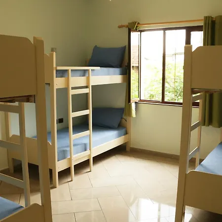 Green Hostel אכסניה *