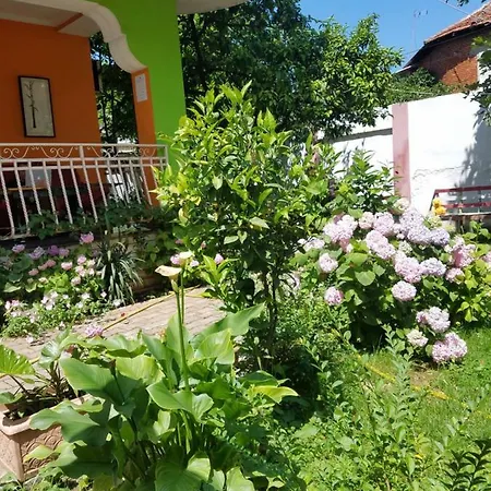 אכסניה Green Hostel