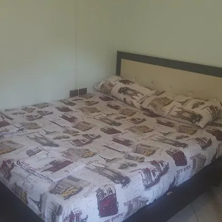 Green Hostel * Tirana