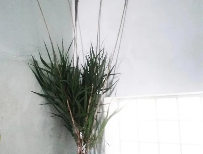 Hostel Green Hostel Tirana