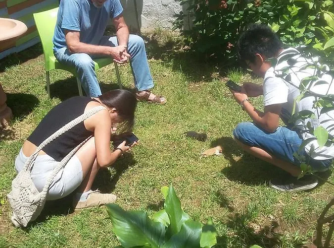 Hostel Green Hostel *