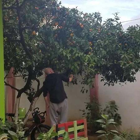 Green Hostel * Tirana