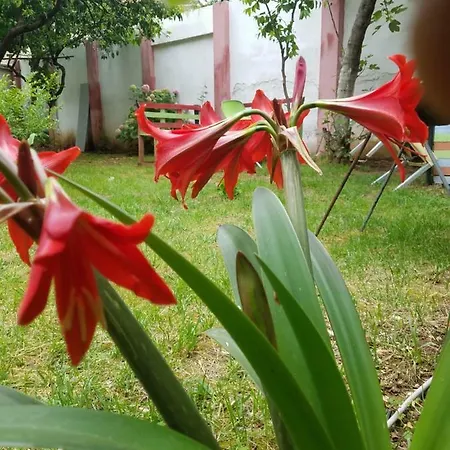 Green Hostel Vandrerhjem *