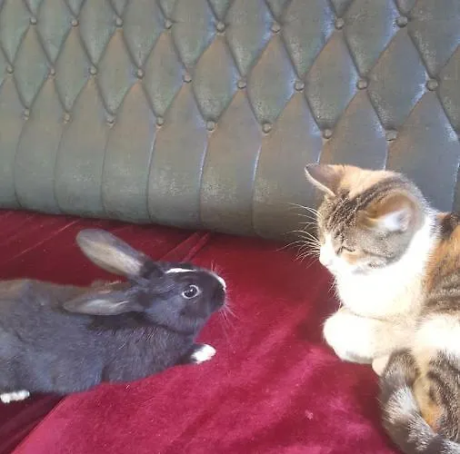 Green Hostel Vandrarhem *