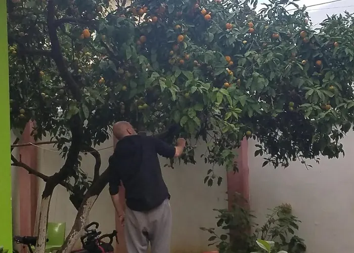 Green Hostel * Tirana