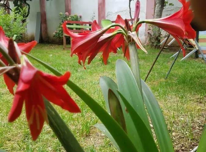 Green Hostel Vandrarhem *